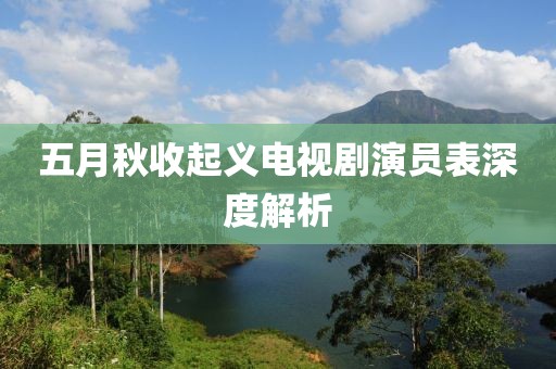 五月秋收起义电视剧演员表深度解析