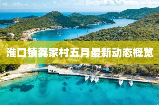 淮口镇龚家村五月最新动态概览