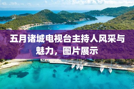 五月诸城电视台主持人风采与魅力，图片展示