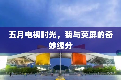 五月电视时光，我与荧屏的奇妙缘分