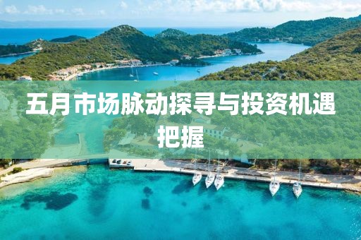五月市场脉动探寻与投资机遇把握
