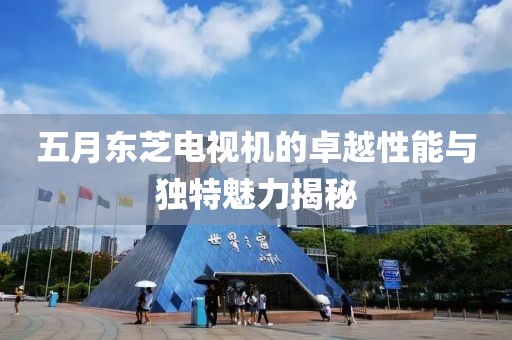 五月东芝电视机的卓越性能与独特魅力揭秘