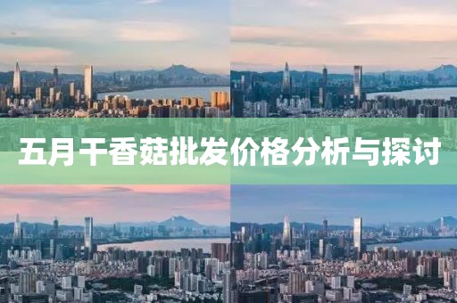 五月干香菇批发价格分析与探讨