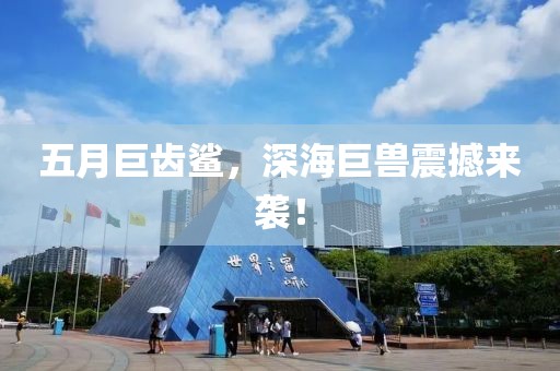 五月巨齿鲨，深海巨兽震撼来袭！
