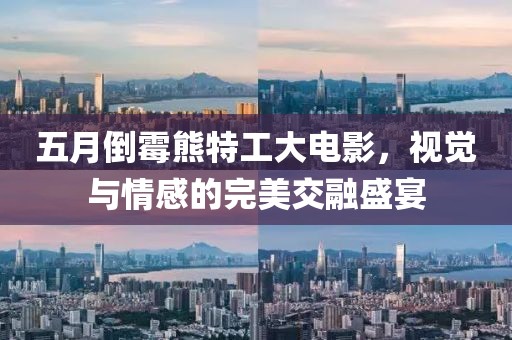 五月倒霉熊特工大电影，视觉与情感的完美交融盛宴
