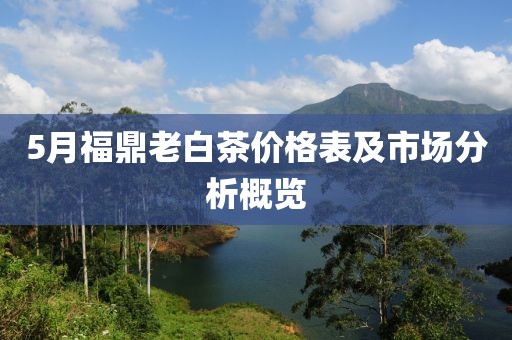 5月福鼎老白茶价格表及市场分析概览