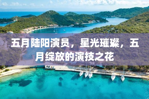 五月陆阳演员，星光璀璨，五月绽放的演技之花