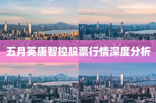 五月英唐智控股票行情深度分析