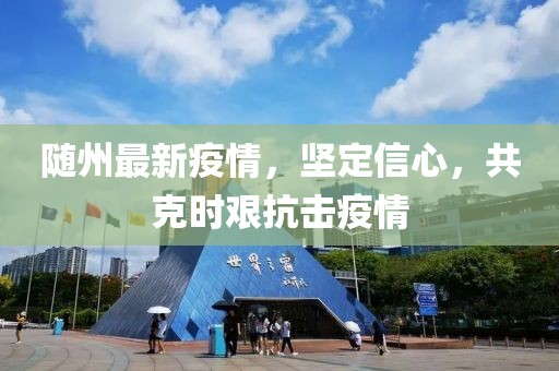随州最新疫情，坚定信心，共克时艰抗击疫情