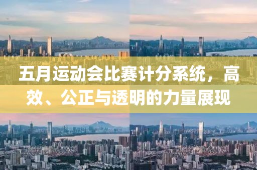 五月运动会比赛计分系统，高效、公正与透明的力量展现