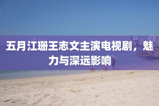 五月江珊王志文主演电视剧，魅力与深远影响