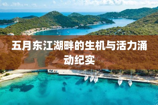 五月东江湖畔的生机与活力涌动纪实