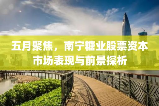 五月聚焦，南宁糖业股票资本市场表现与前景探析