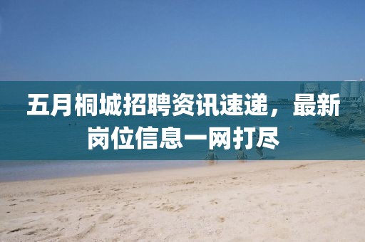五月桐城招聘资讯速递，最新岗位信息一网打尽