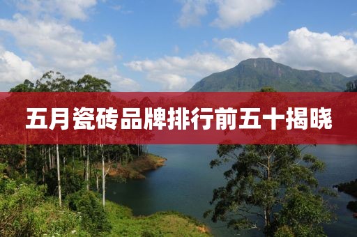 五月瓷砖品牌排行前五十揭晓