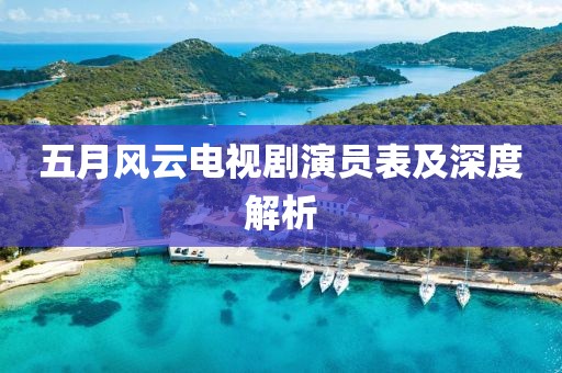 五月风云电视剧演员表及深度解析