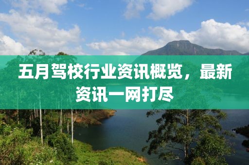 五月驾校行业资讯概览，最新资讯一网打尽