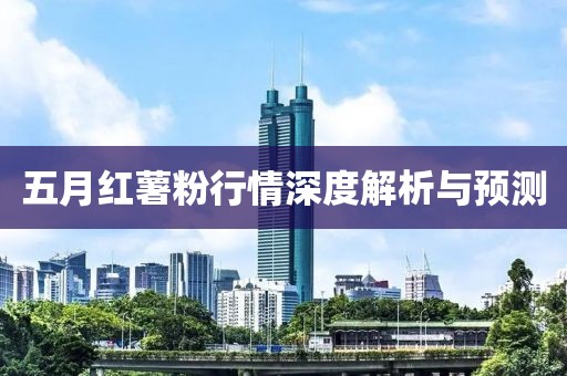 五月红薯粉行情深度解析与预测