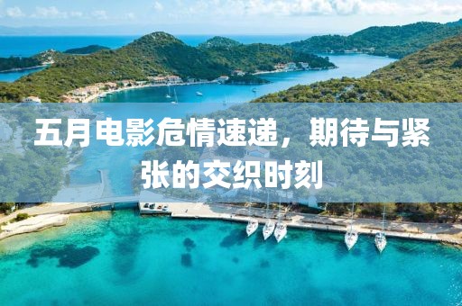 五月电影危情速递，期待与紧张的交织时刻