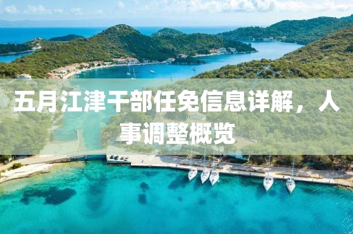 五月江津干部任免信息详解，人事调整概览