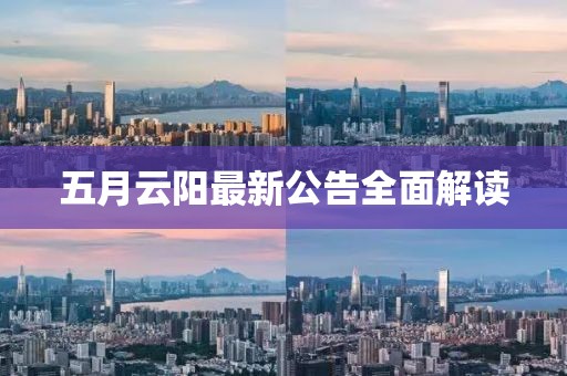 五月云阳最新公告全面解读