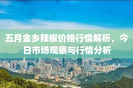 五月金乡辣椒价格行情解析，今日市场观察与行情分析