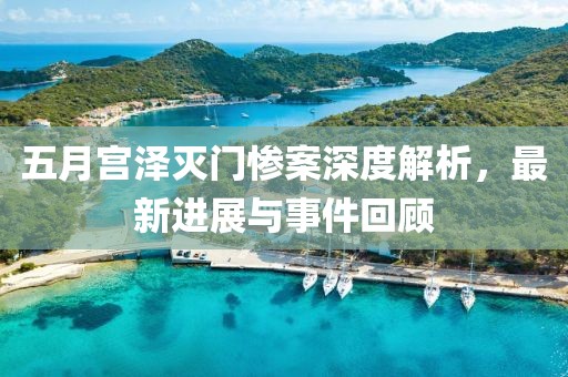 五月宫泽灭门惨案深度解析，最新进展与事件回顾