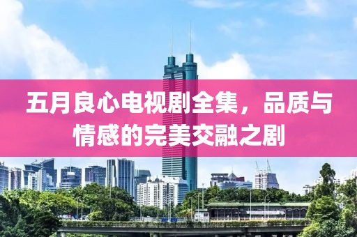 五月良心电视剧全集，品质与情感的完美交融之剧