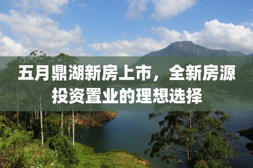 五月鼎湖新房上市，全新房源投资置业的理想选择