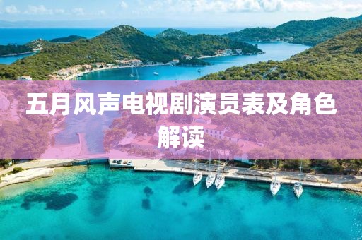 五月风声电视剧演员表及角色解读