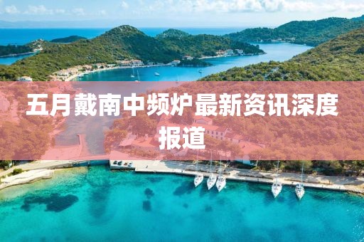 五月戴南中频炉最新资讯深度报道