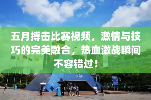 五月搏击比赛视频，激情与技巧的完美融合，热血激战瞬间不容错过！