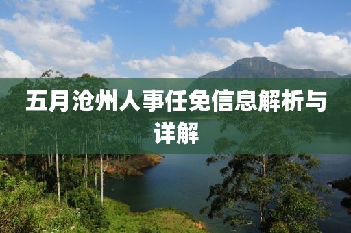 五月沧州人事任免信息解析与详解