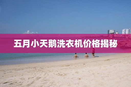 五月小天鹅洗衣机价格揭秘