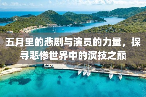 五月里的悲剧与演员的力量，探寻悲惨世界中的演技之巅