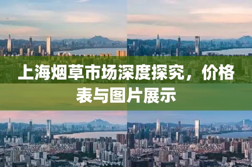 上海烟草市场深度探究，价格表与图片展示