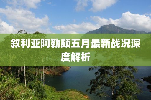 叙利亚阿勒颇五月最新战况深度解析