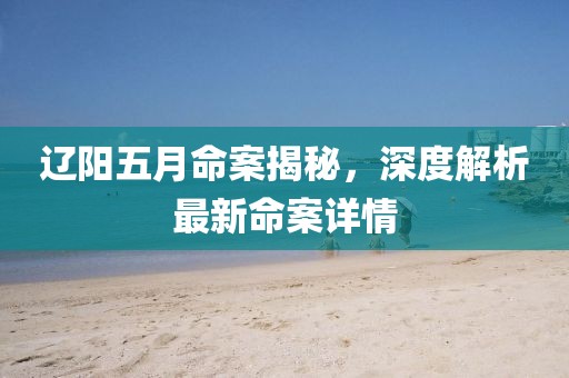 辽阳五月命案揭秘，深度解析最新命案详情