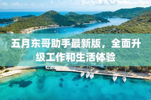 五月东哥助手最新版，全面升级工作和生活体验