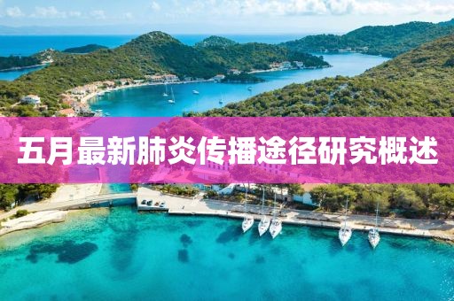 五月最新肺炎传播途径研究概述