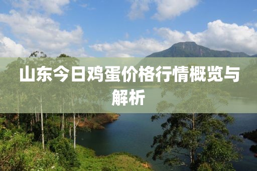 山东今日鸡蛋价格行情概览与解析