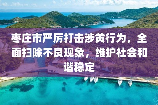 枣庄市严厉打击涉黄行为，全面扫除不良现象，维护社会和谐稳定