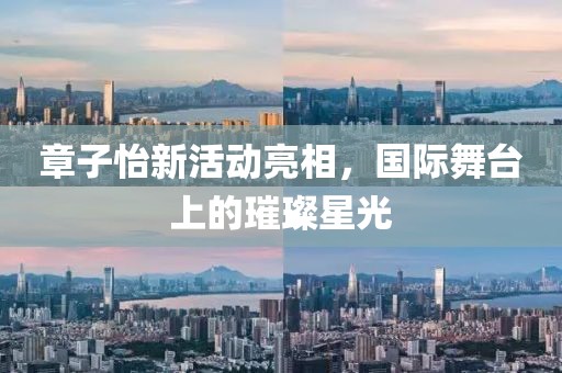信息技术的开发 第706页
