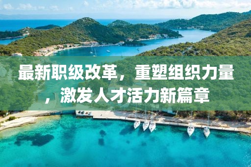最新职级改革，重塑组织力量，激发人才活力新篇章