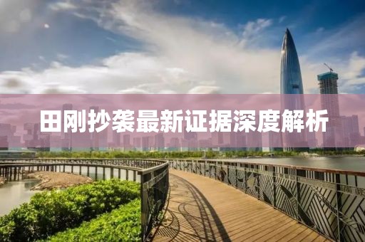 田刚抄袭最新证据深度解析