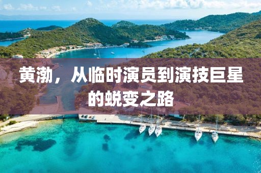 黄渤，从临时演员到演技巨星的蜕变之路
