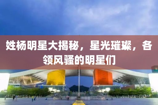 姓杨明星大揭秘，星光璀璨，各领风骚的明星们