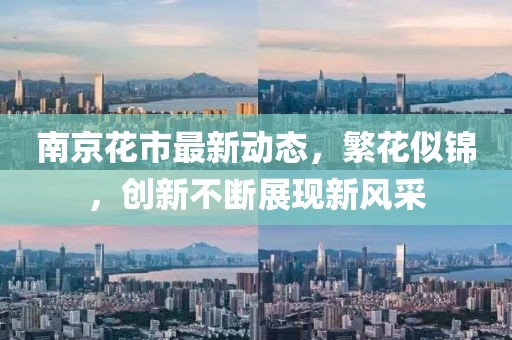 南京花市最新动态，繁花似锦，创新不断展现新风采