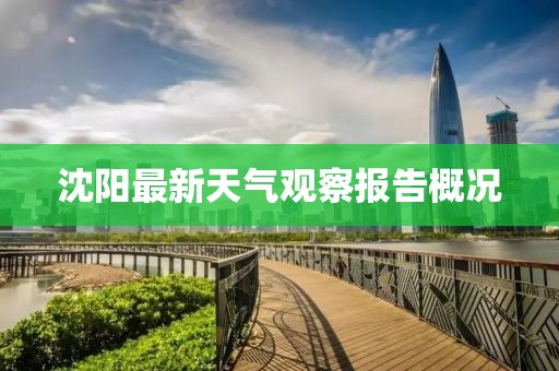 沈阳最新天气观察报告概况