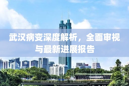 武汉病变深度解析，全面审视与最新进展报告